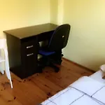 Vakantiehuis Blisko Plazy *